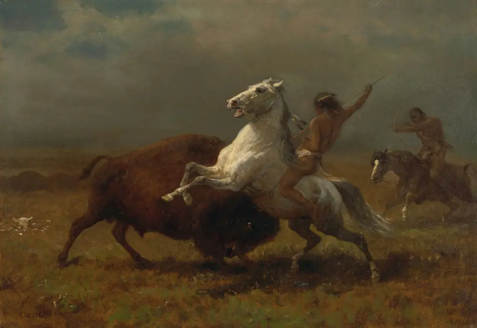 The Last of the Buffalo